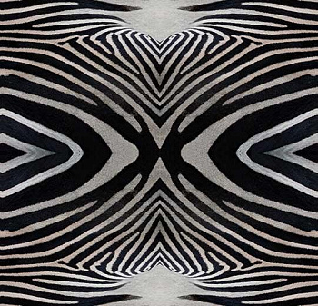 000402 zebra