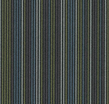 t550004/t553004 Complexity navy
