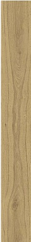 ATLAS CONCORDE RUSSIA RIVE Acqua Riva Ret Матовый 20x160