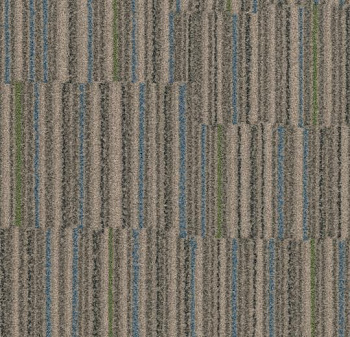 t540004 Stratus fossil