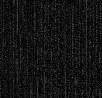 1509 noir