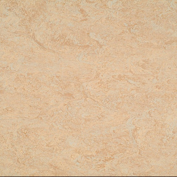 121-040 light sahara
