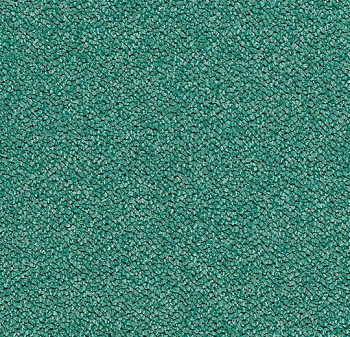 3616 eucalyptus