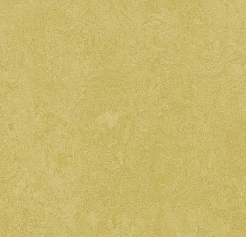 325935 mustard
