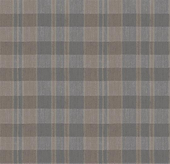 590015 Plaid Cement