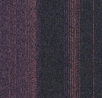 2814 heliotrope