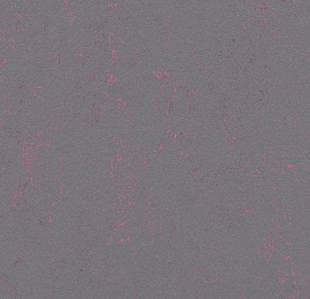 373535 purple shimmer