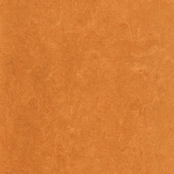 125-174 physalis orange