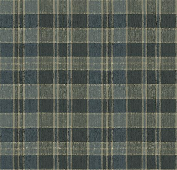 590023 Plaid Fern